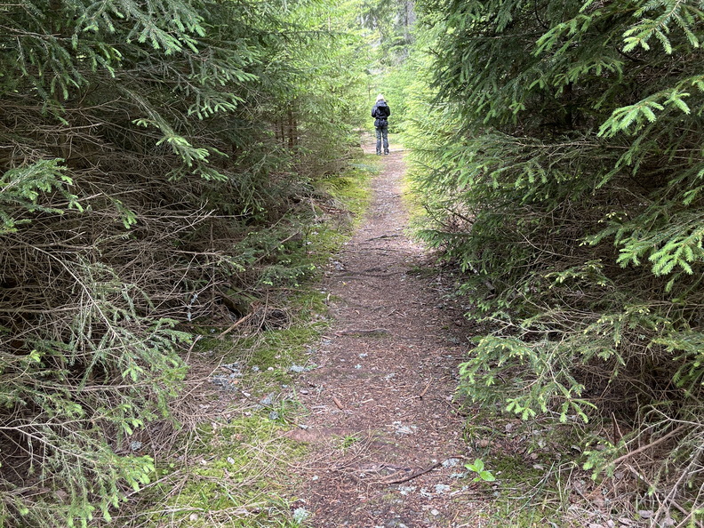 22-05-29 11-32-35 0950